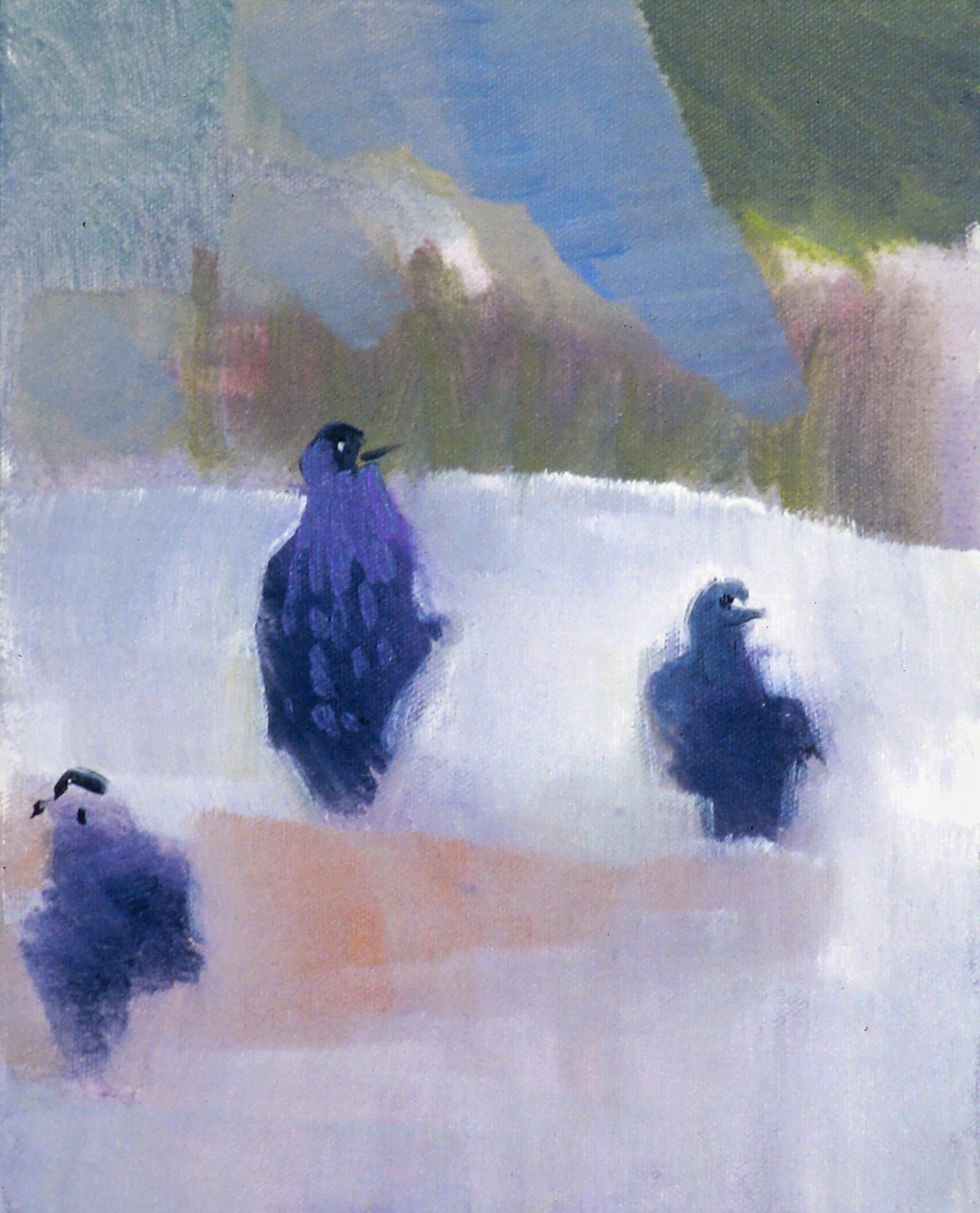 AA - 3 Birds Looking in All Directions © 2004 8 x 10 fine art print