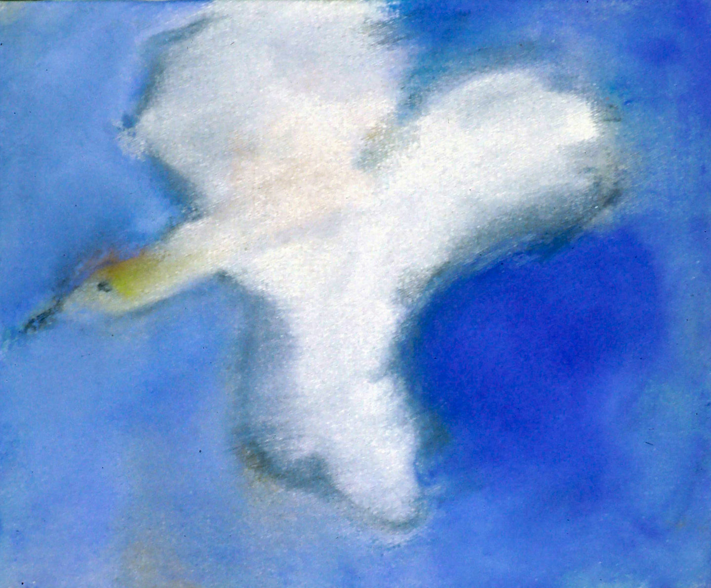 AA - Bird in Flight © 1996 11 x 9 fine art print