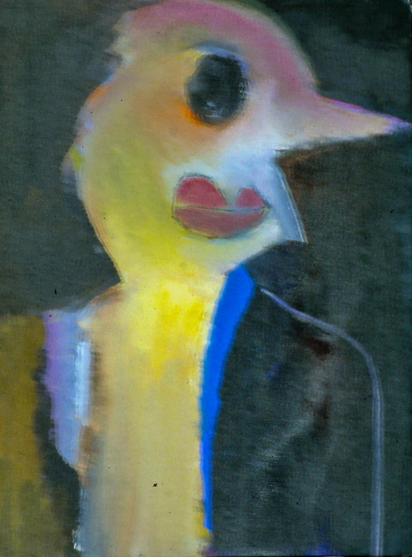 AA - Bird in a Bathrobe © 1998 16 x 12 fine art print