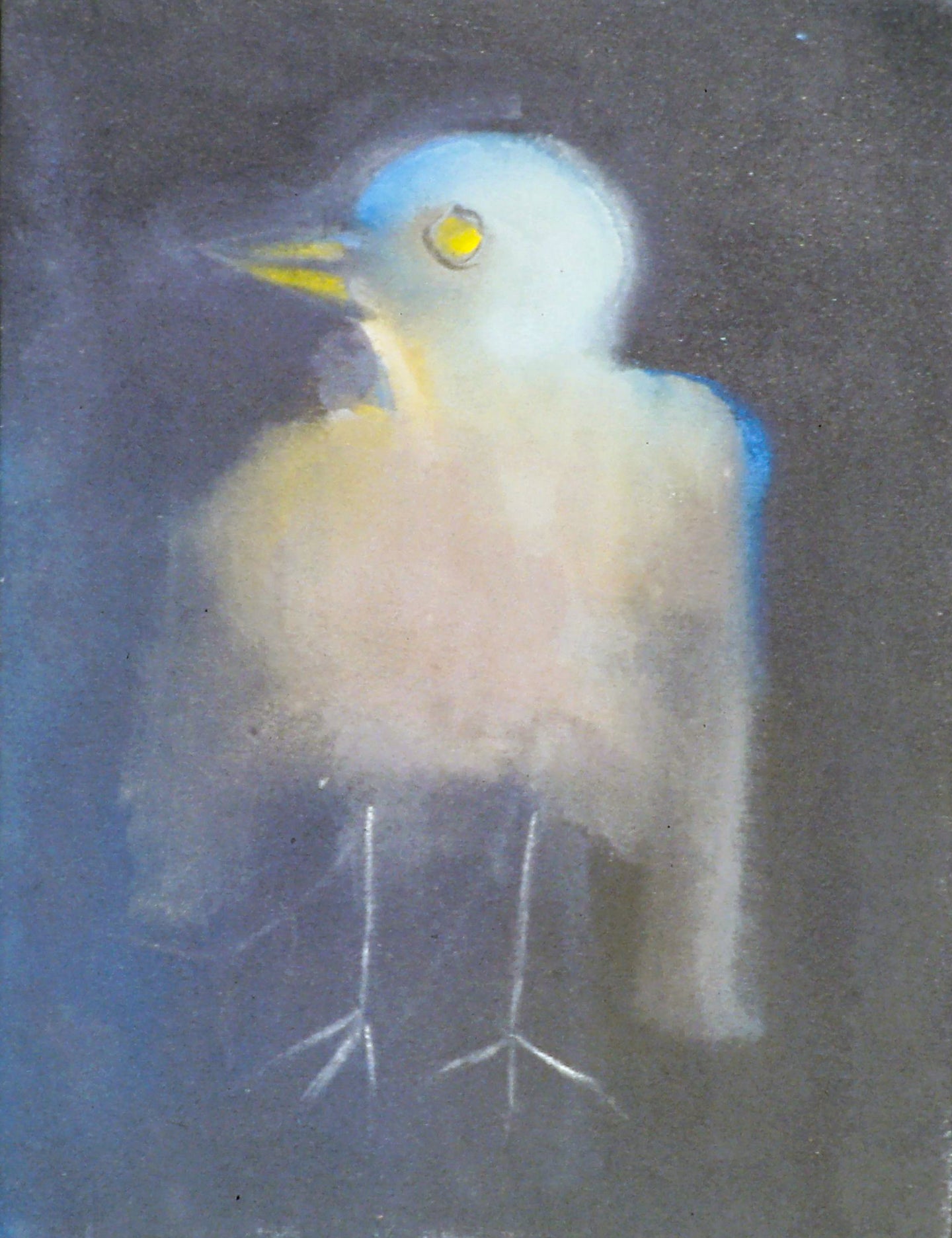 AA - Bird without Attributes © 1994 13 x 10  Fine Art Print