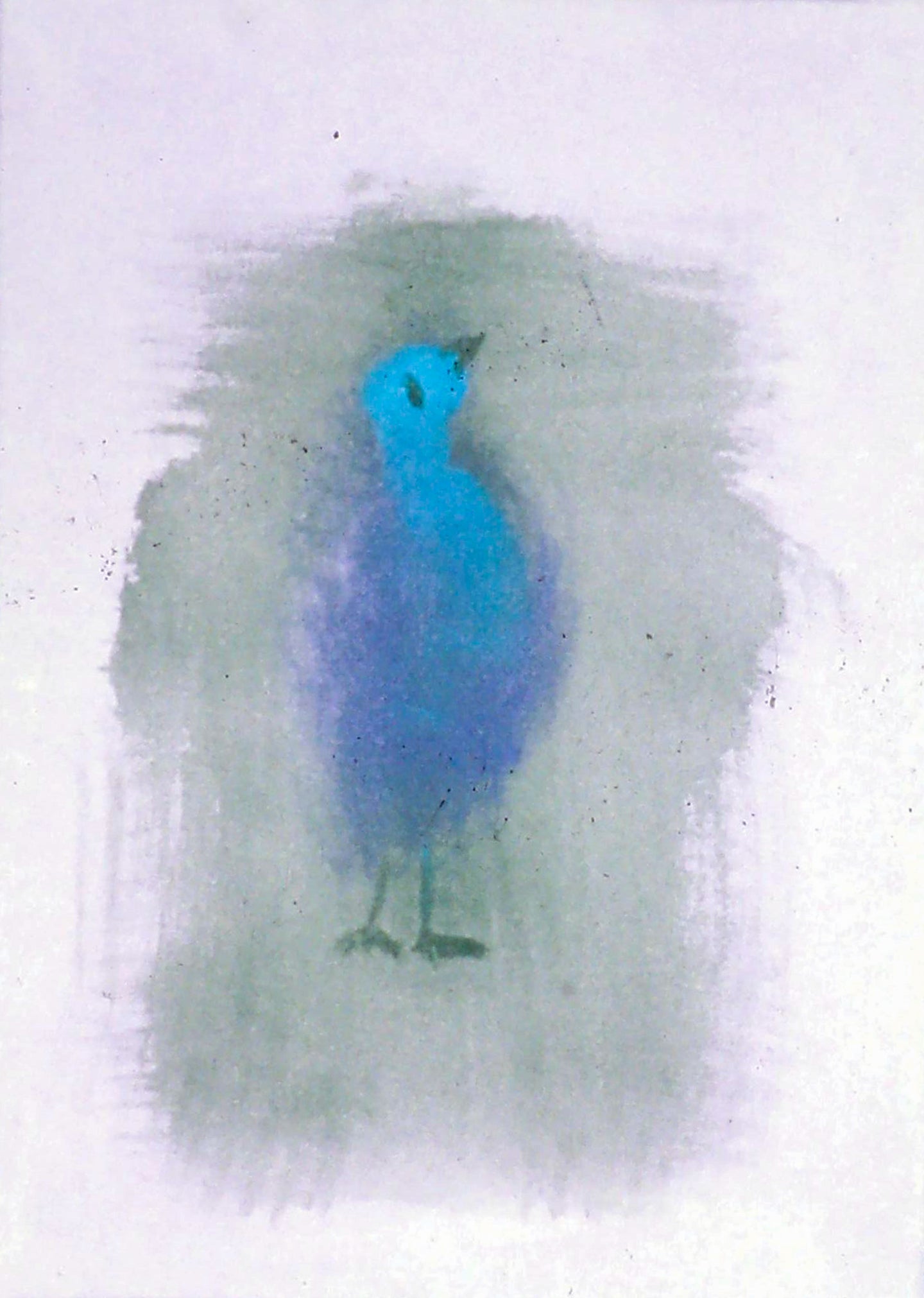 AA - Blue Bird © 1998 8 x 11 Fine Art Print