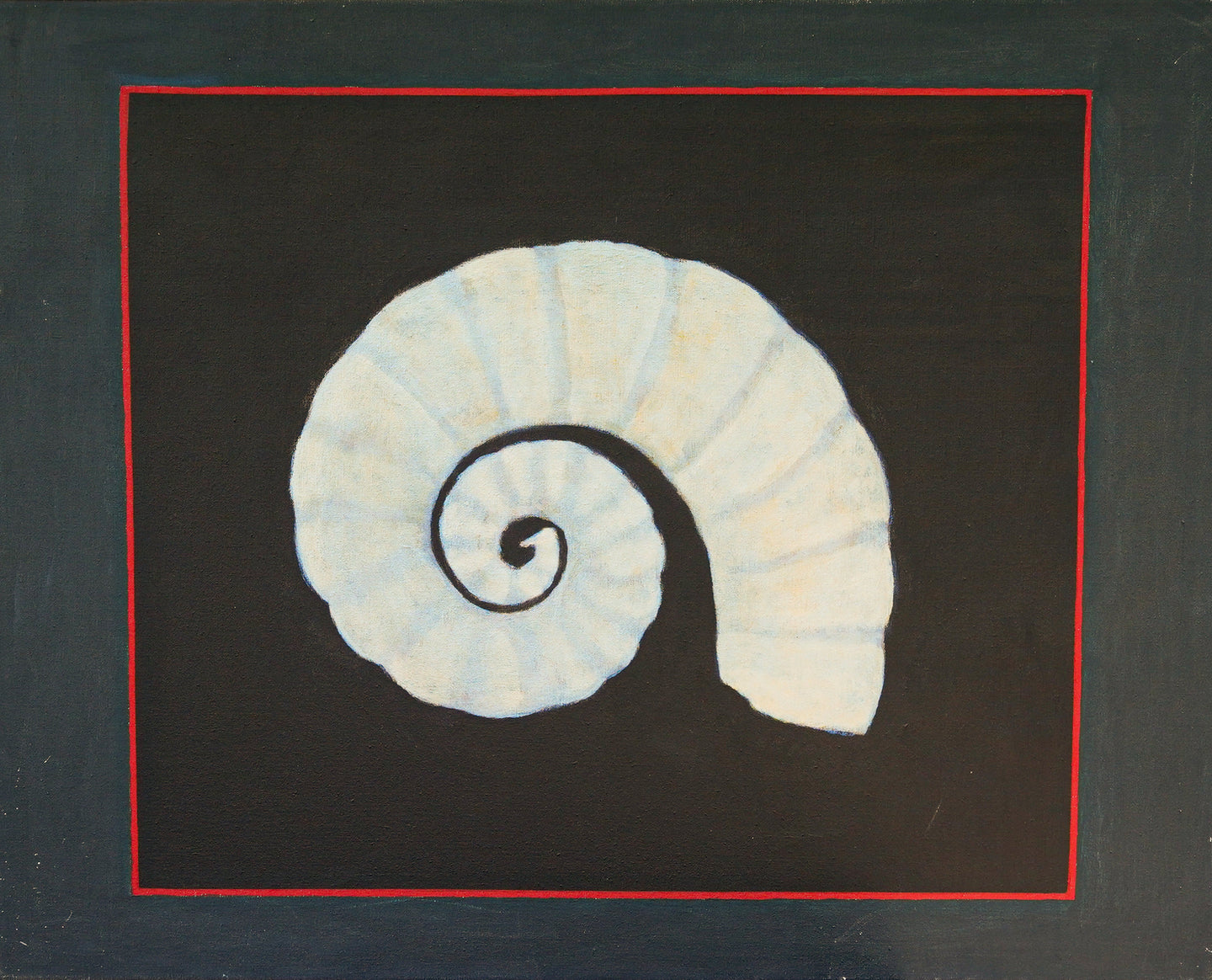 Spirula Spirula 40 x 32 inches