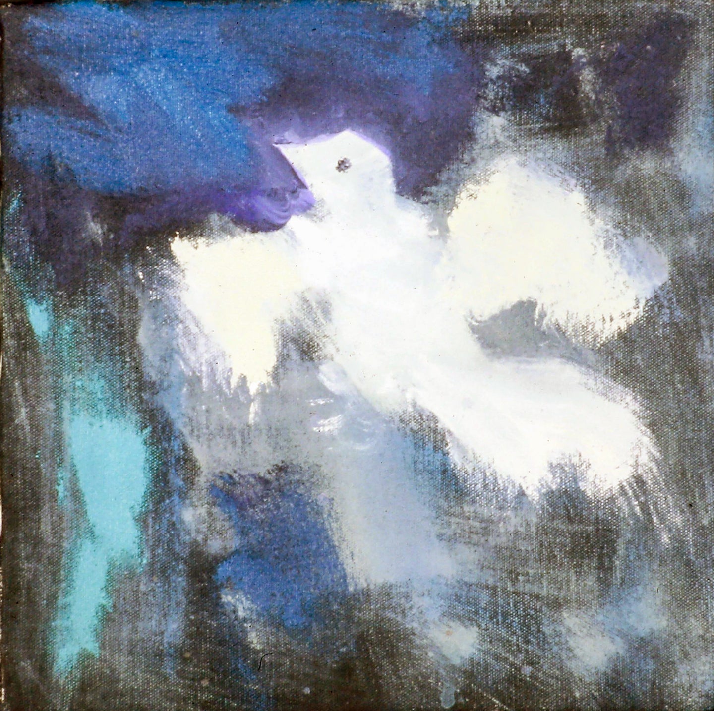 AA - Dove in Midair © 1998 11 x 11  Fine Art Print