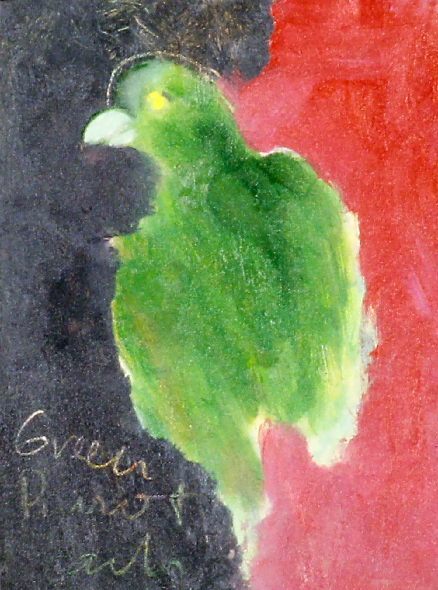 AA - Green Parrot © 1997 12 x 9  Fine Art Print