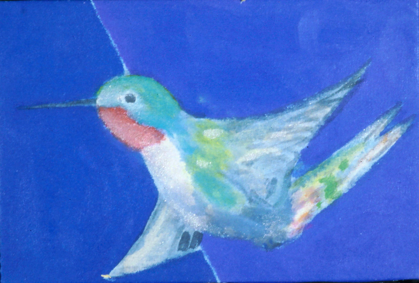 AA - Humming Bird © 1996 8 x 12  Fine Art Print