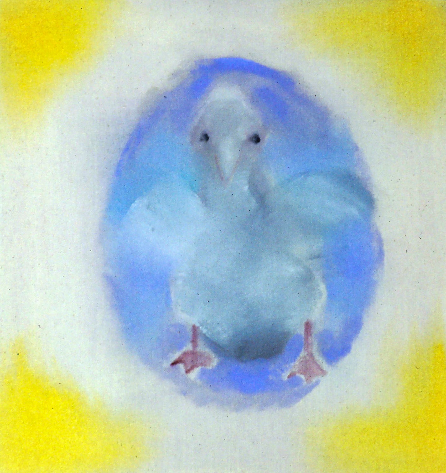 AA - Just Hatched © 1994 13 x 14 Fine Art Print