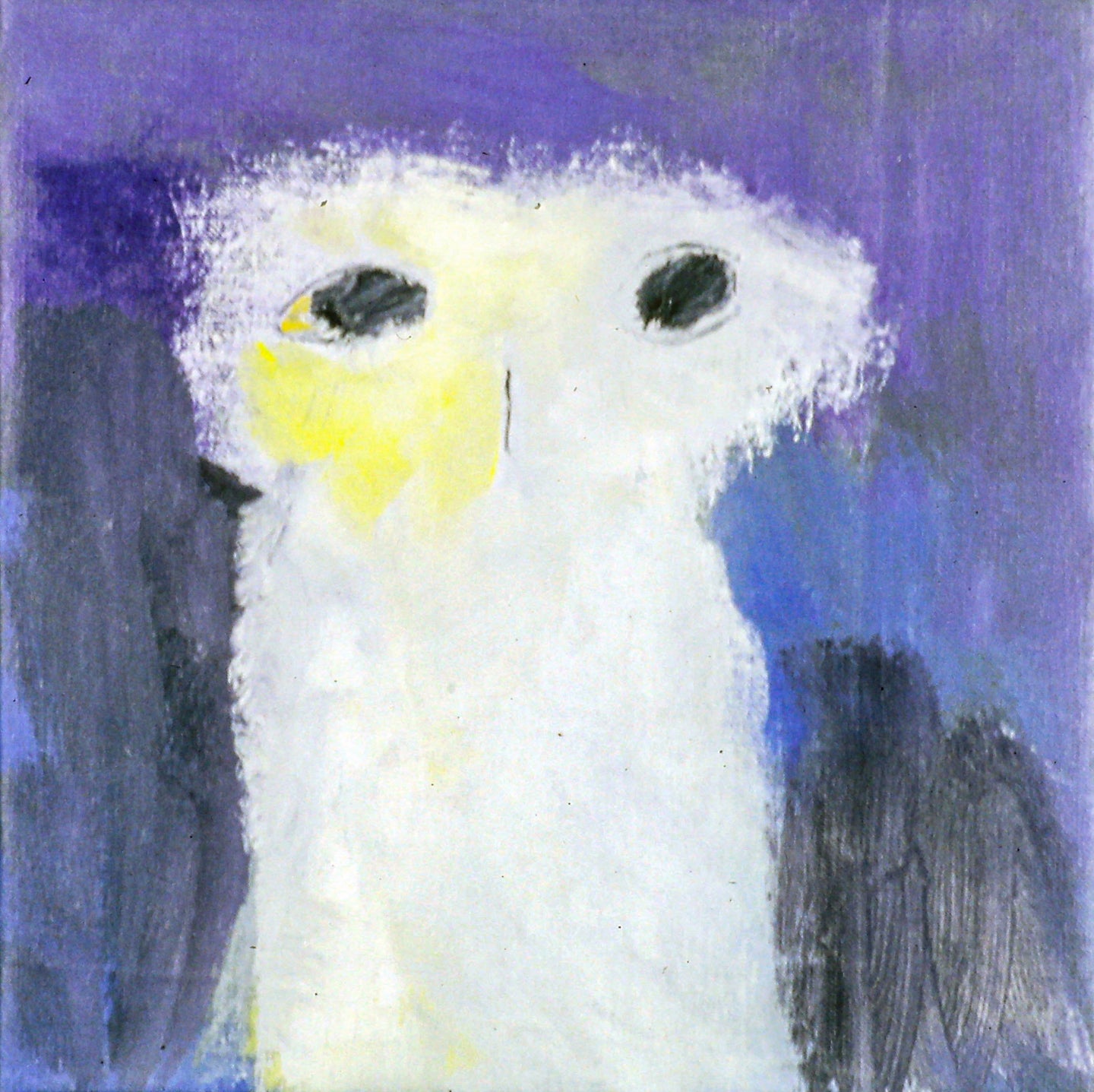 AA - White Owl © 1999 14 x 14  Fine Art Print