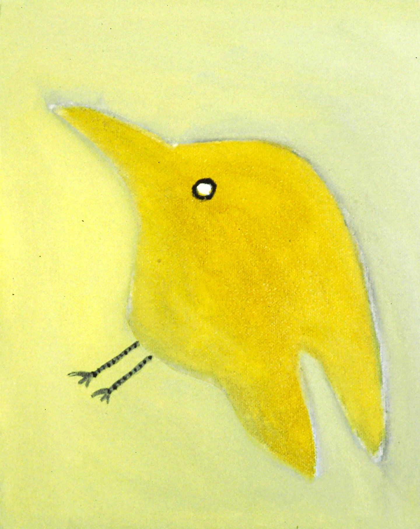 AA - Yellow Bird off Balance © 1996 10 x 8  Fine Art Print